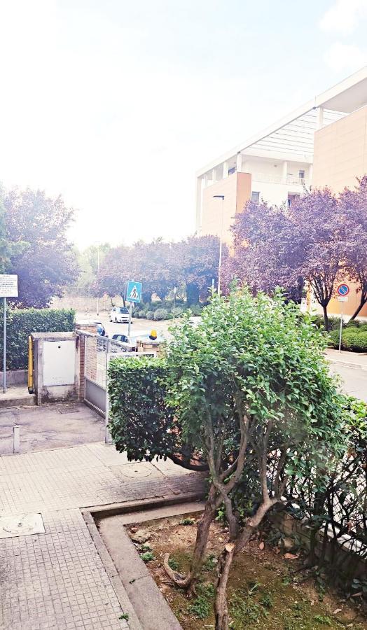 Maison Careggi Florencia